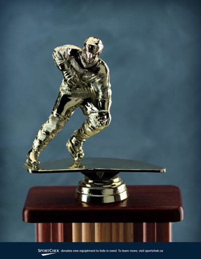 Hockey trophy