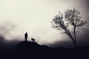 Silhouette on man and dog